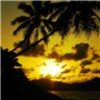 Golden Sunsets Live Wallpaper