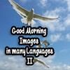 Good Morning Images In Many Languages