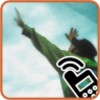 Gospel Ringtones