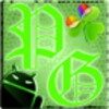 GOWidget PoisonGreen Theme By TeamCarbon