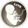 Gravidez Ao Vivo LITE