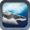 Great White Shark