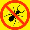 Greedy Ants Smash Free