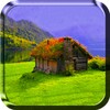 Green Nature Live Wallpaper