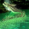 Ground Dragon Waterfall Trial