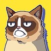 Grumpy Cat