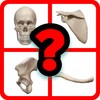 Guess The Bone