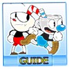 Guide For Cuphead New