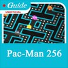 Guide For Pac Man 256