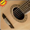 Guitar (twelve Wire)