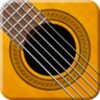 GuitarFlex