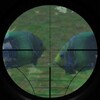 Gun Fishing