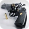 GunShots