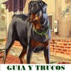 Guía Y Trucos GTA 5