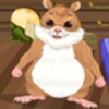 Hamster Caring