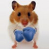 Hamster Live Wallpapper