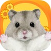 Hamster Valley