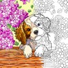 Happy Canvas: Color By Number