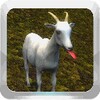 Happy Goat