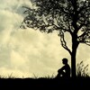 Harmony Lite Wallpaper