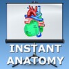 Heart Lecture