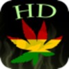 Hemp Wallpapers