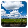 Het Weer In Nederland