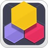 Hex Puzzle