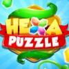 Hexa Puzzle Block