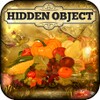 Hidden Object - Autumn Harvest Free