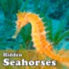 Hidden Seahorses