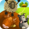 Hide&Seek On Farm