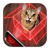 Hologram For Cats. Simulator