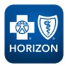 Horizon Blue