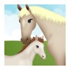 Horse Pregnancy 2