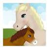 Horse Pregnancy