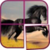 Horse Puzzle Games For Girls