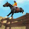 Horse Simulator