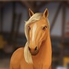 HorseHotel - Care For Horses