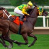 HorseRacing Jigsaw