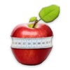 How To Lose Weight