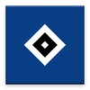 HSV