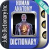 Human Anatomy Dictionary