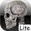 Human Skeleton 2D