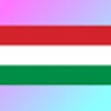 Hungarian Translator
