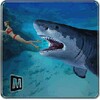 Hungry Blue Shark Revenge 2016