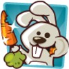 Hungry Bunny