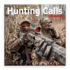 Hunting Calls Ultimate