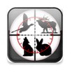 Hunting Calls
