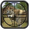 Hunting Jungle Wolf